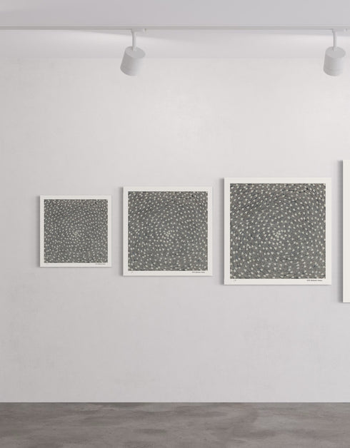 Big Sardines | Limited Edition Prints